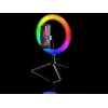 Ring-Lampe RGB 26 cm mit Stativ