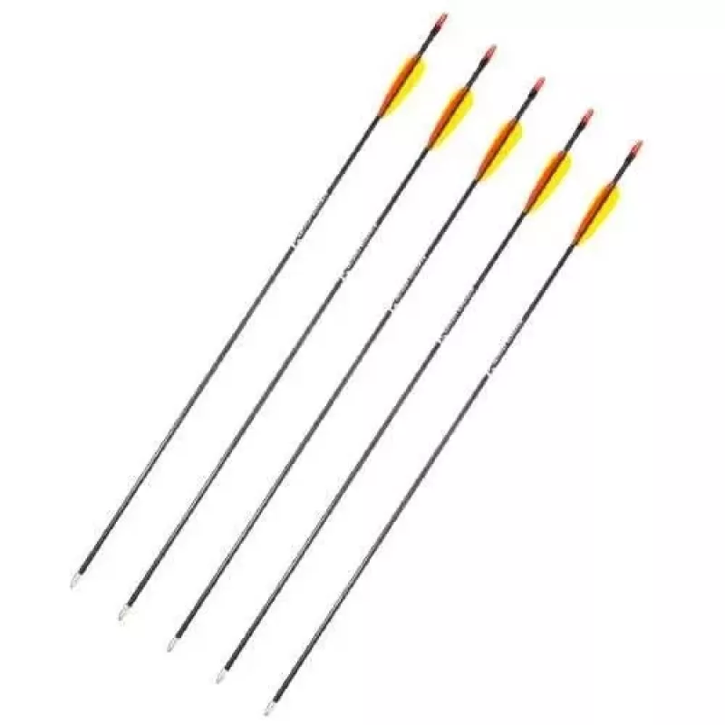 Pfeilset POE LANG D-055-B3 — Glasfaserpfeile, 28 Zoll (710 mm), schwarz, 5er-Set