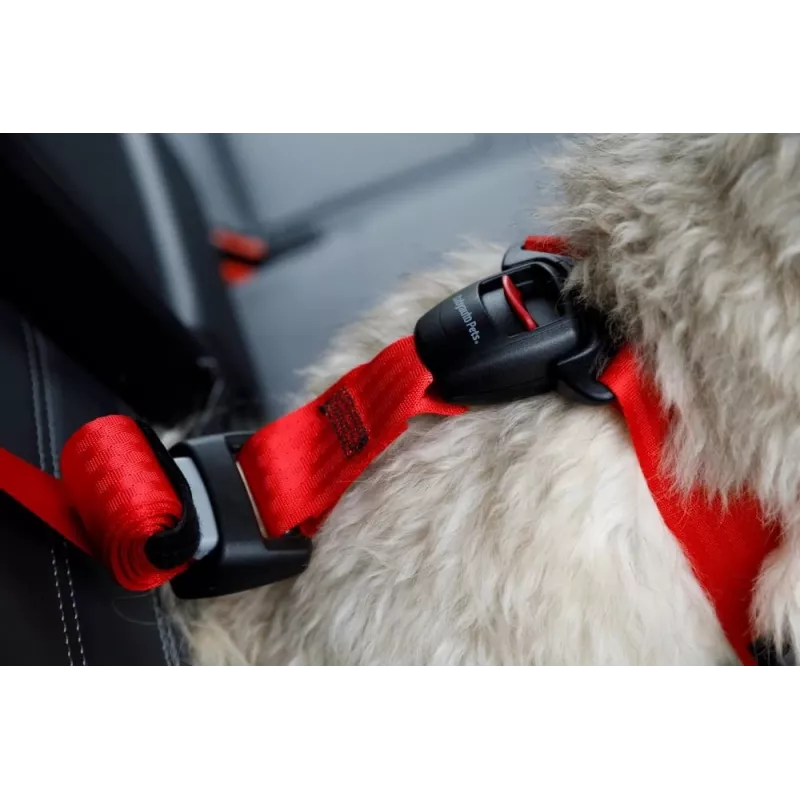 Hundegeschirr ZOLUX TRAVEL SAFE S, Größe S, rot