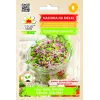 China Rose Radieschensamen für Sprossen, 20g Packung