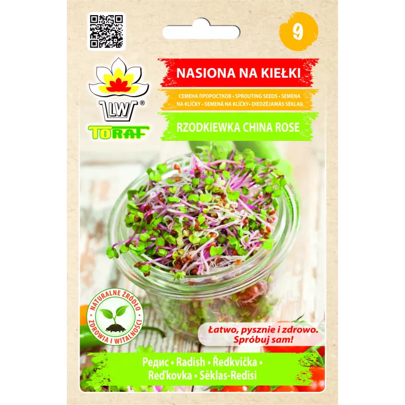 China Rose Radieschensamen für Sprossen, 20g Packung