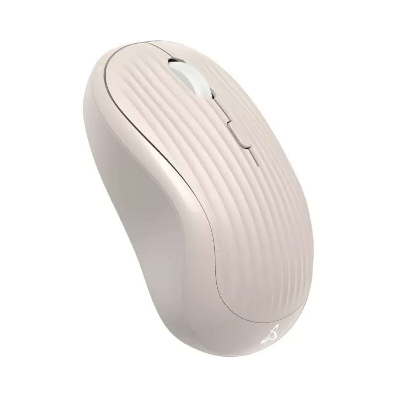 Maus SBOX WM-602 Beige Wireless Interface