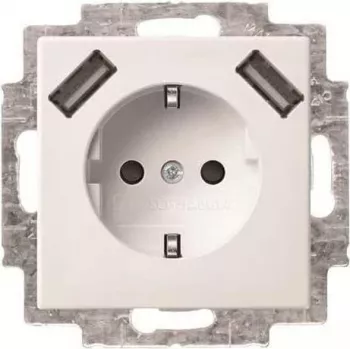 Busch-Jaeger SCHUKO 2-fach USB Steckdose 20 EUCB2USB-914 (2CKA002011A6266)