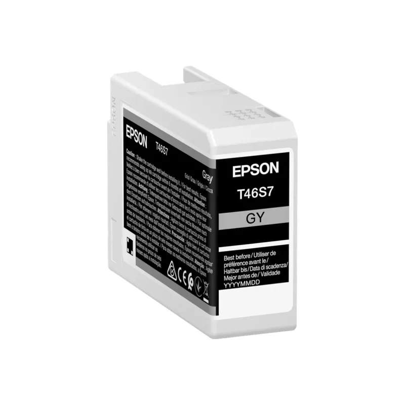 Tintenpatrone Epson UltraChrome Pro 10 T46S7 Grau Original für kompatible Epson-Drucker