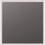 S. Siedle & Soehne Blindmodul BM 611-0 DG Dark Grau-glimmer Blind-Mod (200038833-00)
