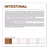 VET EXPERT Veterinary Diet Intestinal Dog - Trockenfutter für Hunde - 12 kg