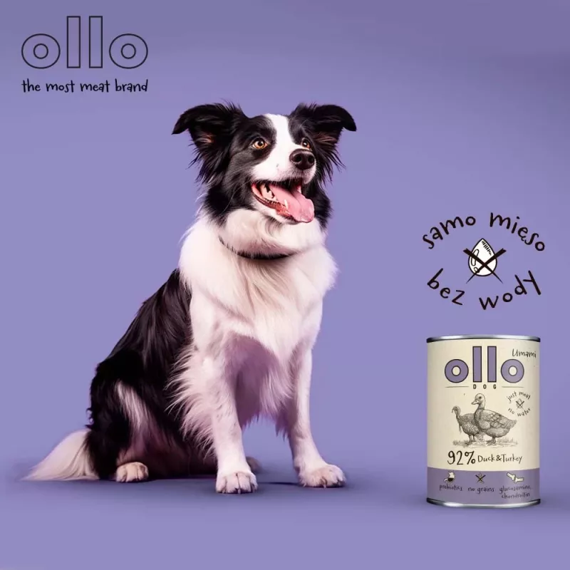 OLLO Umami Ente und Pute - Nassfutter für Hunde - 850g