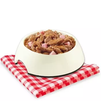 STUZZY Sfilaccetti Chicken mit Schinken - Nassfutter für Hunde - 100g