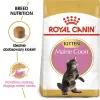 Trockenfutter für Katzen Royal Canin Maine Coon Kitten 2 kg — Geflügel, Protein 36%, Fett 23%