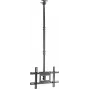 SpeaKa Professional SP-TVCM-540 TV-Deckenhalterung höhenverstellbar 94,0 cm 37 - 203,2 80 (SP-13660960)