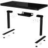 Höhenverstellbarer Gaming-Schreibtisch mit zwei Motoren, Sitz-/Stehfunktion, kabellosem Ladegerät, RGB-Beleuchtung, Bedienfeld und USB-Anschlüssen, Tischplatte aus gehärtetem Glas, schwarz