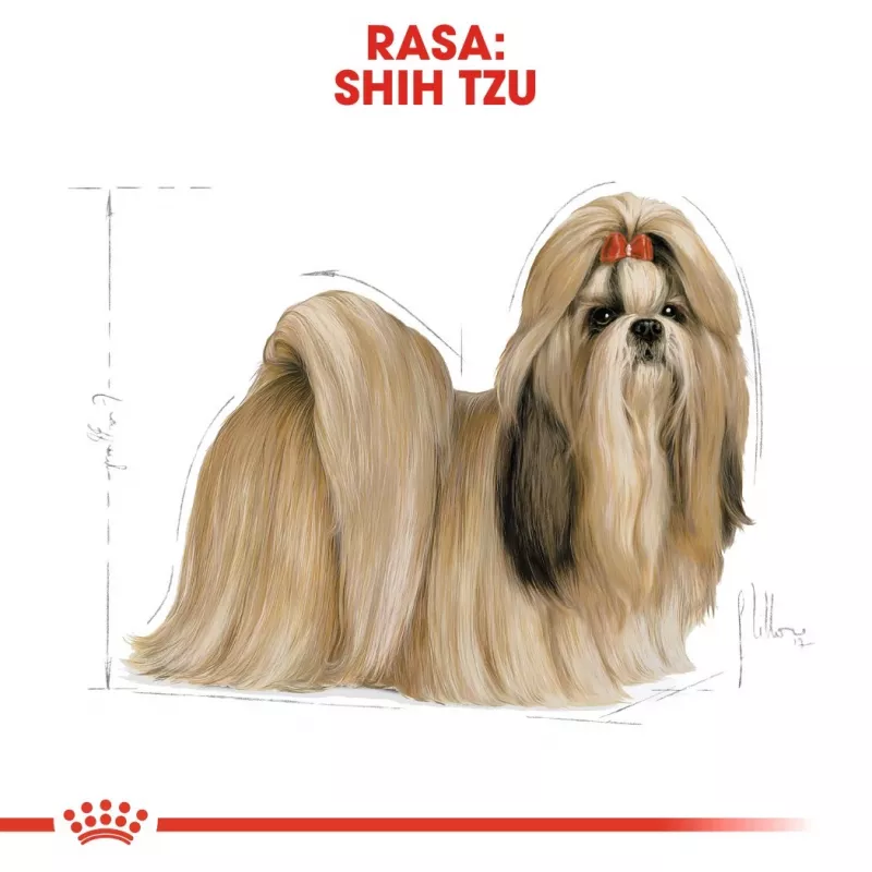 Trockenfutter für Hunde Royal Canin Shih Tzu Adult 7,5 kg — Huhn, 24 % Protein, 20 % Fett