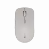 Canyon Maus MW-12 Dualband kabellos Beige - Maus - 2.400 dpi (CNS-CMSW12BG)