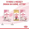 Royal Canin BABYCAT INSTINCTIVE - Nassfutter für Katzen - 195 g
