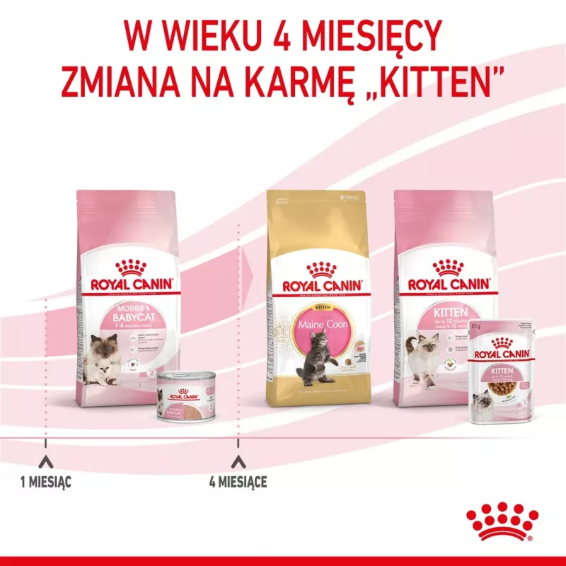 Royal Canin BABYCAT INSTINCTIVE - Nassfutter für Katzen - 195 g