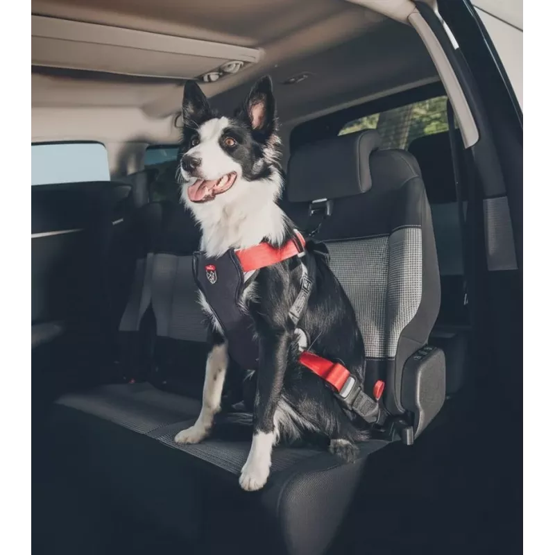 Hundegeschirr ZOLUX TRAVEL SAFE M, Größe M, rot