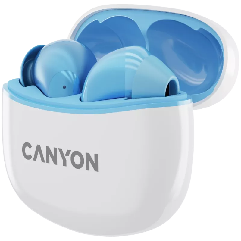Canyon TWS-5 CNS-TWS5BL Kopfhörer – True Wireless – Bluetooth 5.3 – In-Ear – USB-C Ladecase – Touch-Steuerung – bis zu 38h Laufzeit – Schwarz