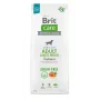 BRIT Care Adult Large Breed Salmon - Trockenfutter für Hunde - 12 kg