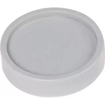 Maul Magnet (Ø x H) 30 mm x 8,4 mm Rundgrau 10 Stück 6172384 (6172384)