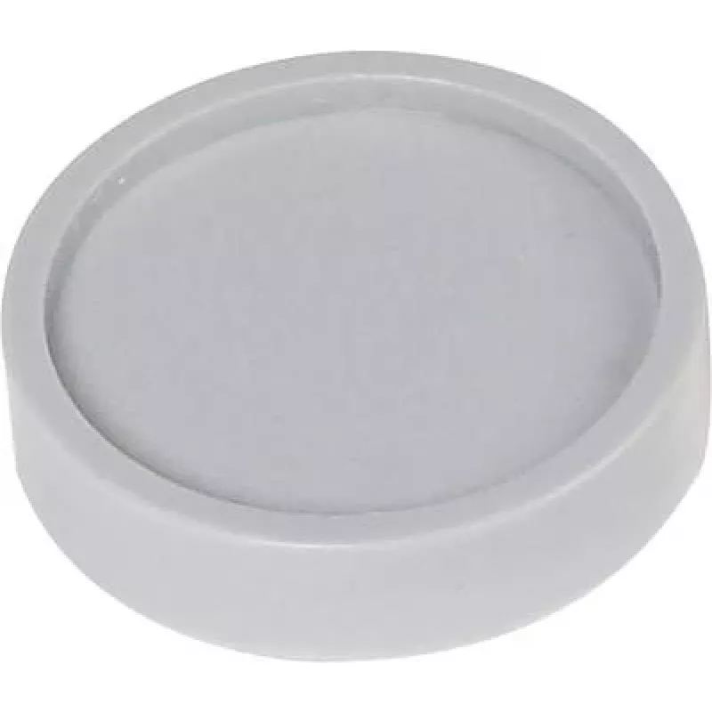 Maul Magnet (Ø x H) 30 mm x 8,4 mm Rundgrau 10 Stück 6172384 (6172384)