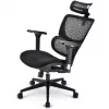 Bürostuhl Sharkoon OfficePal C40 — schwarz, ergonomisches Design, höhenverstellbar