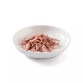 SCHESIR in Gelee Thunfisch - Nassfutter für Katzen - 85 g