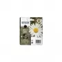 Epson Daisy Einzelpackung Schwarz 18XL Claria Home-Tinte, hohe (XL) Reichweite, schwarz, pigmentbasierte Tinte, 1 Stück