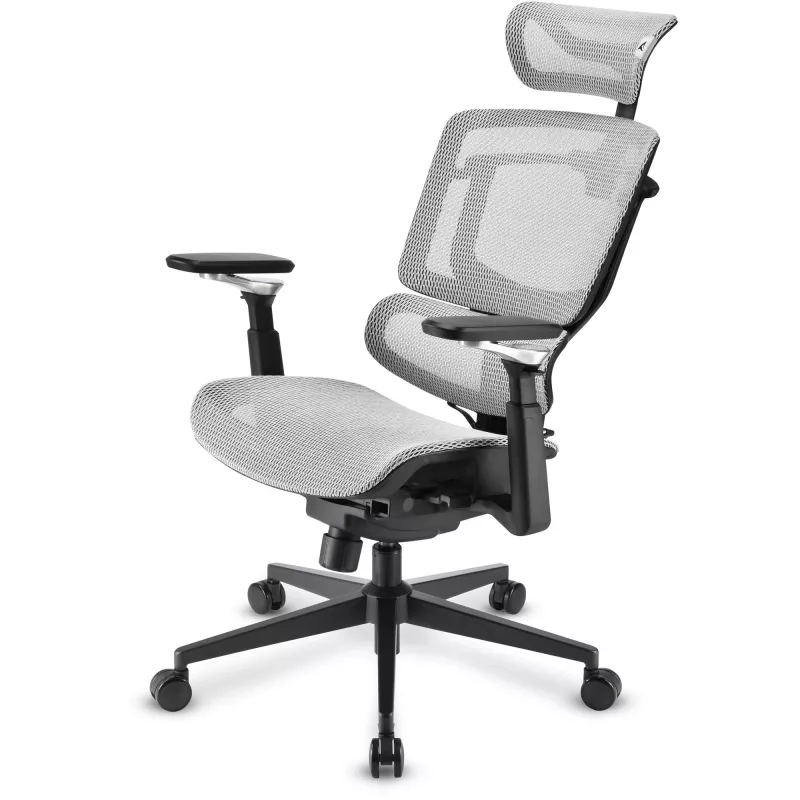 Bürostuhl Sharkoon OfficePal C50M — gepolsterte Sitzfläche, Netzrückenlehne, schwarz, Rückenlehne 49 × 63 cm, Sitzbreite 50 cm