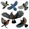 Dekorativer Aufkleber HERMA 15539 Folie Mehrfarbig Abziehbar Vogel