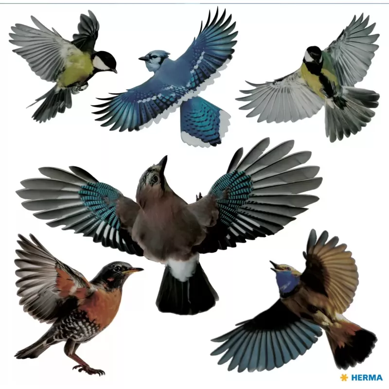 Dekorativer Aufkleber HERMA 15539 Folie Mehrfarbig Abziehbar Vogel