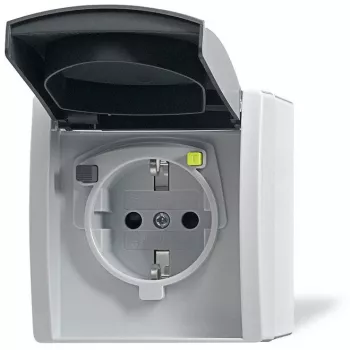 Busch-jaeger 2CKA003116A0664 Grau