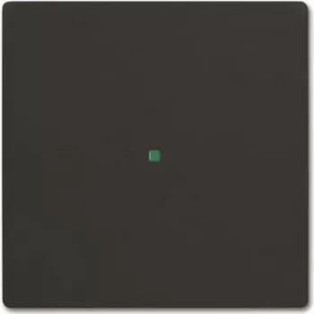 BUSCH JAEGER Wippe 6230-10-885 Einfach schwarz matt