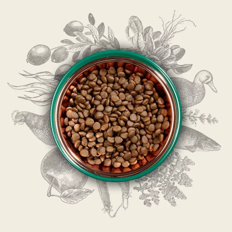 Trockenfutter für Katzen Eden Original Cousine 10 kg – Alleinfuttermittel für ausgewachsene Katzen, 43 % Protein, 23 % Fett, getreide- und glutenfrei