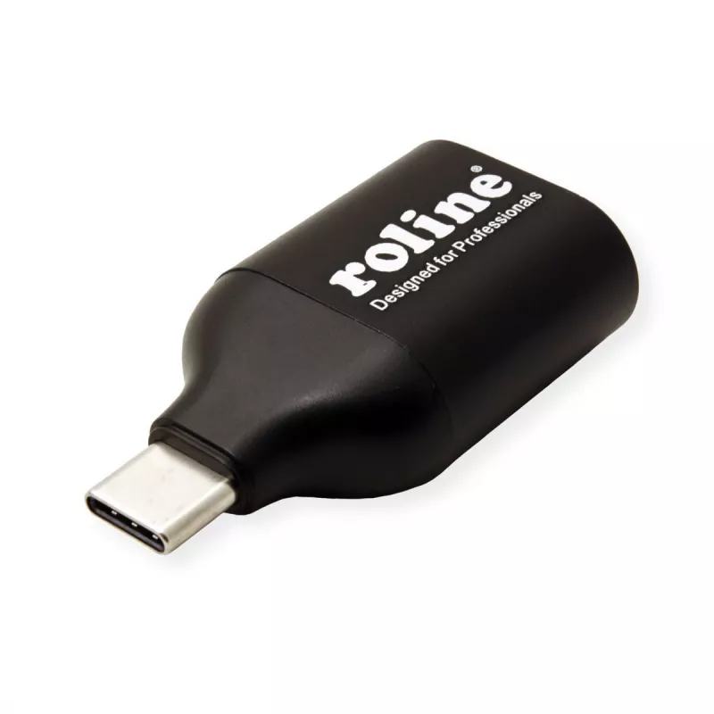 ROLINE 12.03.3228 USB-Grafikadapter 1920 x 1080 Pixel Schwarz (12.03.3228)