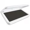 Colop 9C 155126 Grau