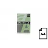 Farbpapier Double A, 80 g, A4, 500 Blatt, Emerald