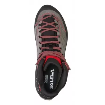 Salewa MTN Trainer Mid GTX Male Adult Charcoal, Grau, Rot