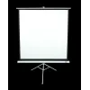 Tripod-Projektionsleinwand Elite Screens T113NWS1 2,87 m 1:1