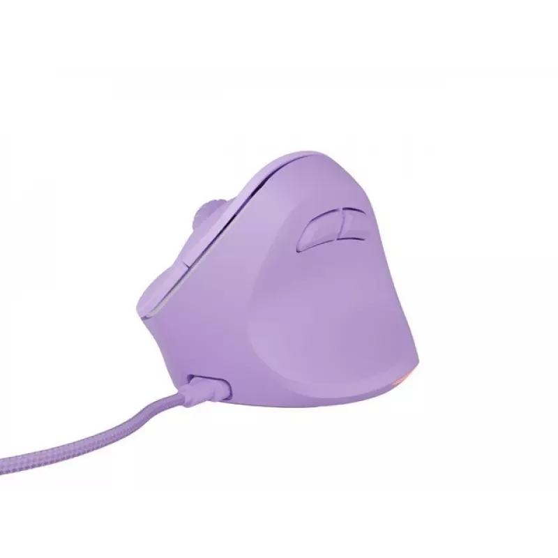 NATEC Crake 2 Pro Maus Universal Rechtshänder USB Typ-A Optisch 12800 DPI