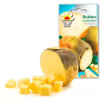 Nadmorska Rutabaga Toraf Gemüsesamen, 1g-Packung