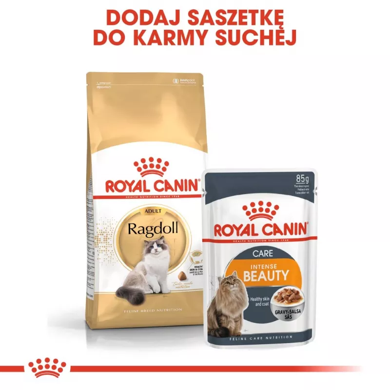 Trockenfutter für Katzen Royal Canin Ragdoll Adult 2 kg — Huhn, 32 % Protein, 18 % Fett
