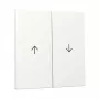 Gira Wippe 2-fach Pfeil System 55 reinweiß (Modell 329427)