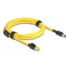 Delock Kabel RJ45-Stecker Cat.6 auf Mini I/O 8 Pin D-Form Typ 2 2 m (81251)