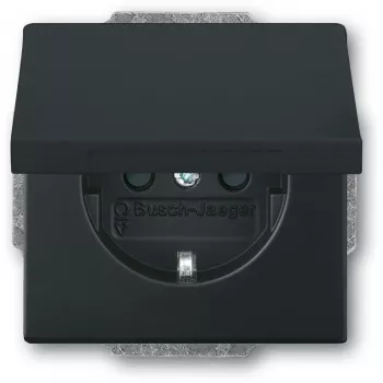Busch-jaeger 2CKA002018A1495 Schwarz