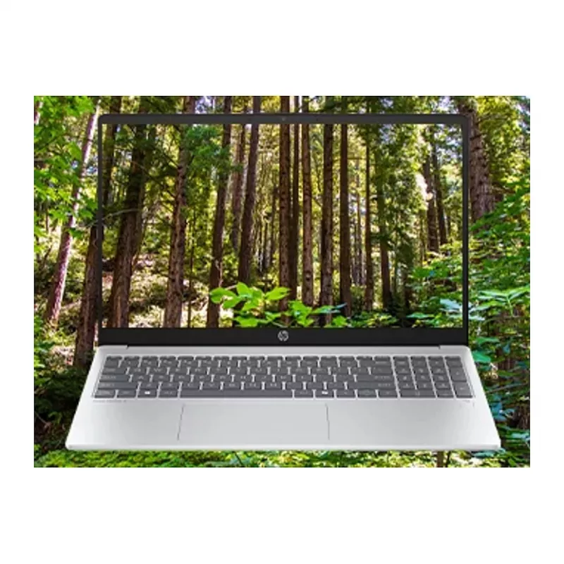 HP OmniBook C94P6EA - Notebook - 39,6 cm (C94P6EA#ABD)