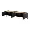 4D RTV-Schrank ONDA 200x40x35-54 schwarz (stehend oder wandmontiert)