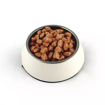 TEO reich an Rind - Nassfutter für Katzen - 850g