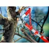 Amboss-Astschneider WOLF-Garten RC-M