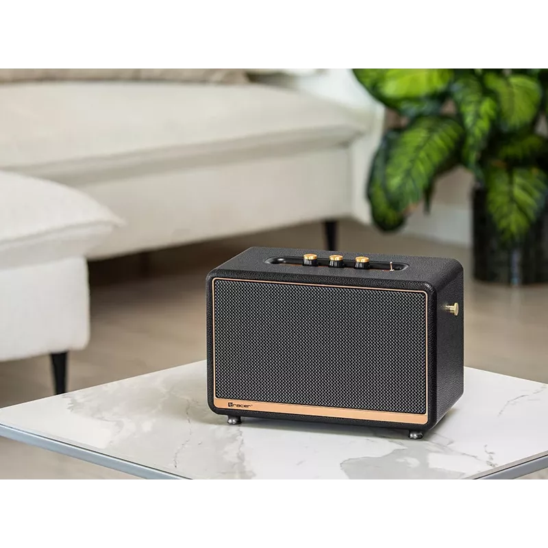 Tragbarer Stereolautsprecher TRACER M45 Schwarz — Bluetooth 5.0, 45 W RMS, UKW-Radio, eingebautes Mikrofon, batteriebetrieben