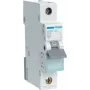 Hager MBN106. AC-Eingangsfrequenz: 50/60 Hz, Nennausgangsstrom: 6 A (MBN106)